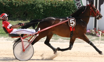 Juillet Royal