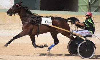 Lagant Haleryd
