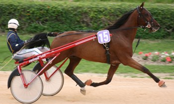 Lutin de Memartin