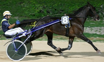 Savanagh