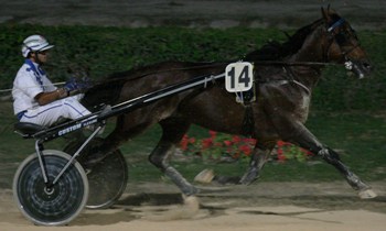 Kevin Valadour