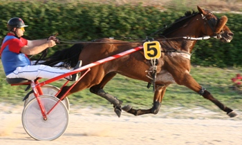 Gaubrio