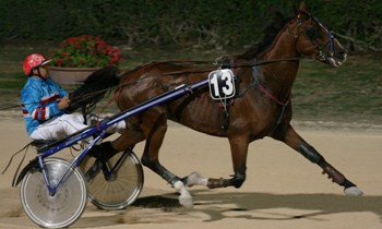 Kiwi de Menesble