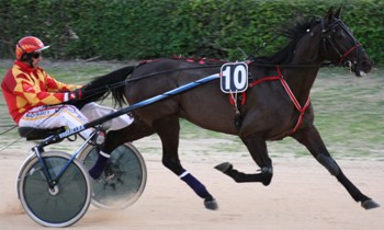 Nicke Tim