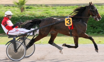 Luron de la Prade