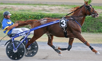 Liowin Hearted