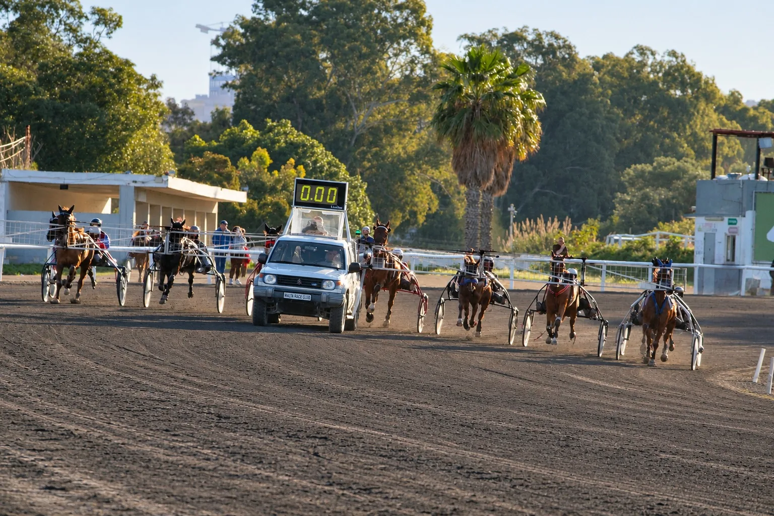 Championship Semi-Finals, International Encounter and Condition Race Final Headline Meetings 46, 47 & 48