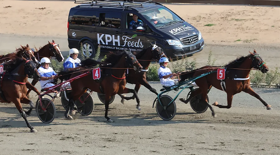 Meeting 43 Results – Krafft Gold Championship Heats Take Centre Stage