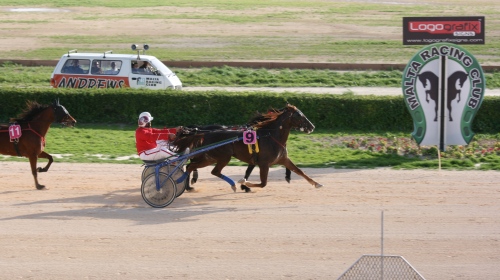 Race 5 confirmed result