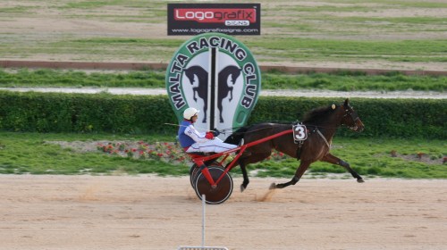 Race 7 confirmed result