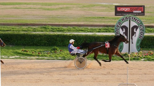 Race 8 confirmed result