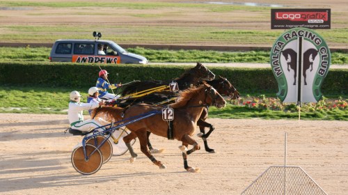 Race 7 confirmed result