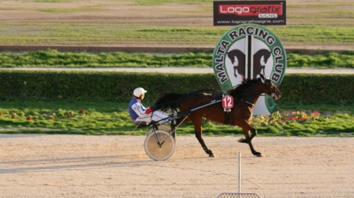 Race 8 confirmed result
