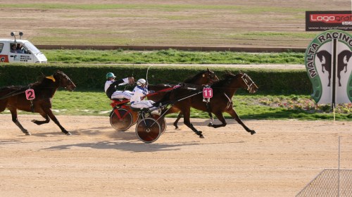 Race 5 confirmed result