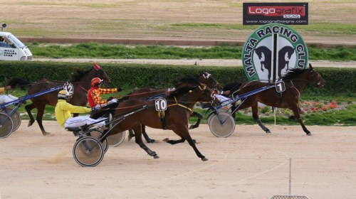 Race 7 confirmed result
