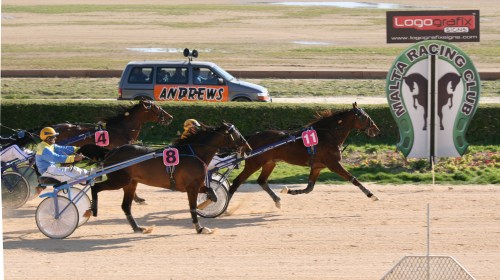 Race 5 confirmed result