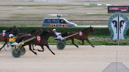 Race 8 confirmed result