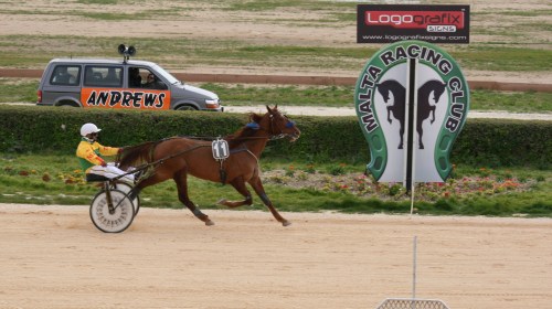 Race 4 confirmed result