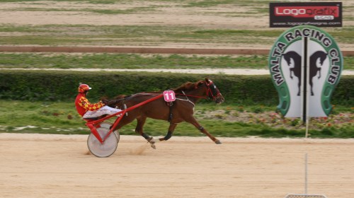 Race 5 confirmed result