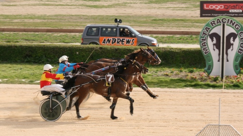 Race 7 confirmed result