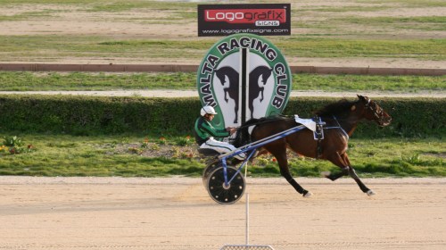 Race 10 confirmed result