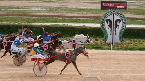 Race 5 confirmed result