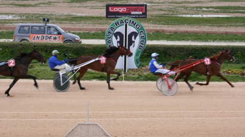 Race 8 confirmed result
