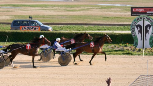 Race 8 confirmed result