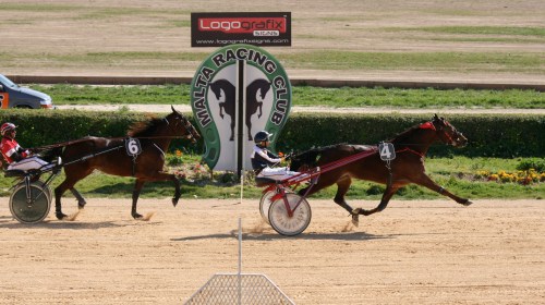 Race 4 confirmed result