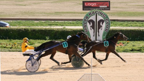 Race 6 confirmed result