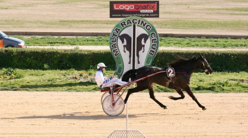 Race 7 confirmed result