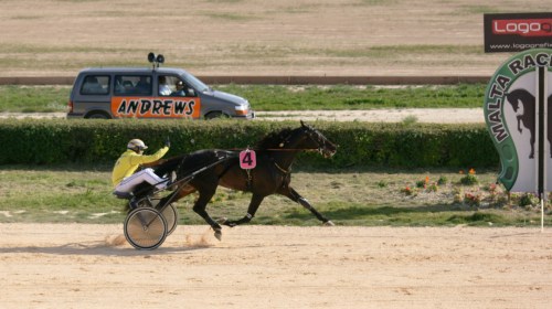 Race 5 confirmed result