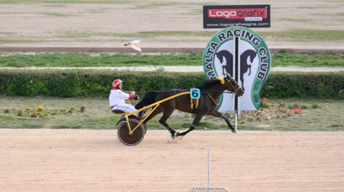 Race 6 confirmed result