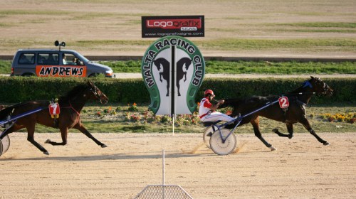 Race 8 confirmed result