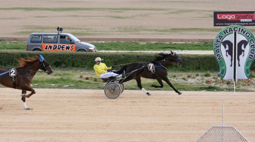 Race 7 confirmed result