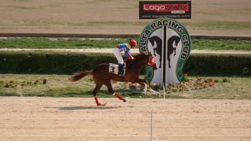 Race 3 confirmed result