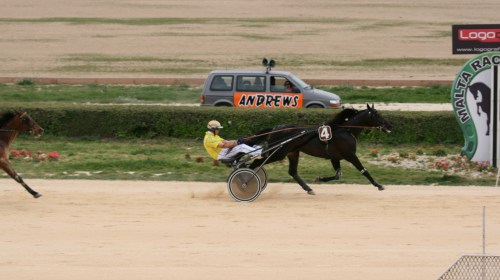 Race 7 confirmed result