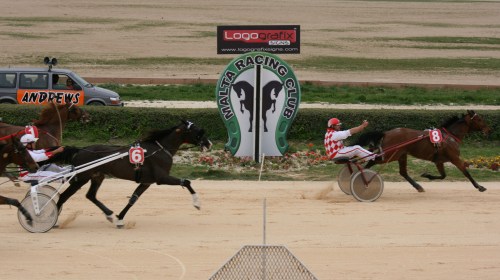 Race 8 confirmed result