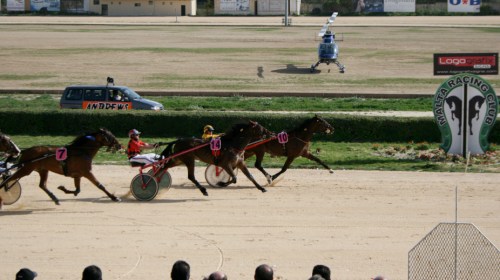Race 5 confirmed result