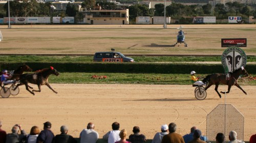 Race 7 confirmed result