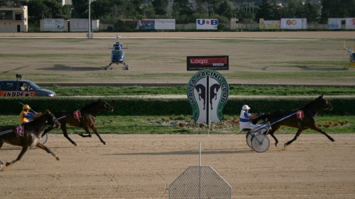 Race 8 confirmed result