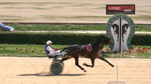 Race 5 confirmed result