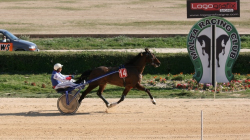 Race 8 confirmed result