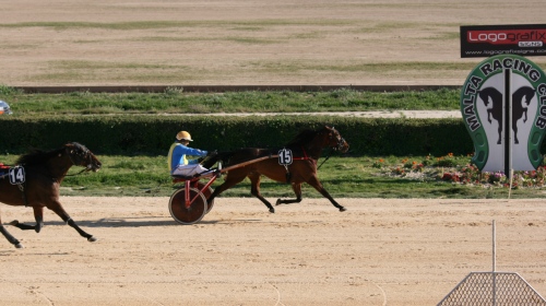 Race 9 confirmed result