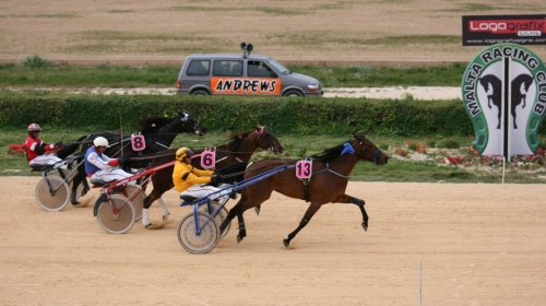 Race 5 confirmed result