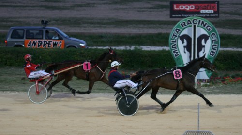 Race 5 confirmed result