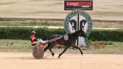 Race 7 confirmed result