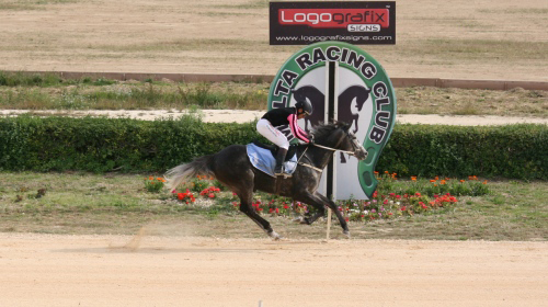 Race 8 confirmed result