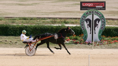 Race 7 confirmed result