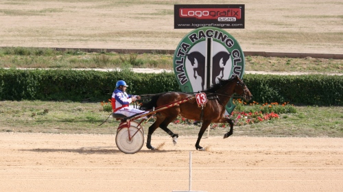 Race 8 confirmed result